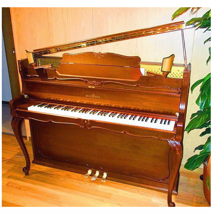 株式会社ピアノプラザ | SCHIMMEL 112B(316)