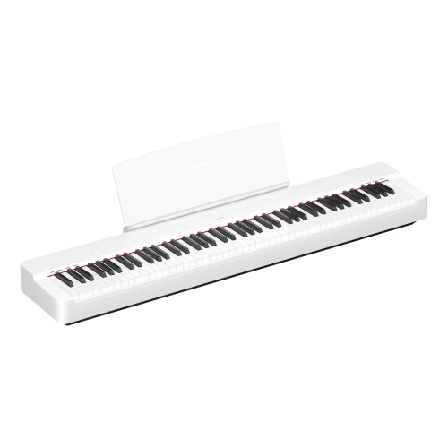 株式会社ピアノプラザ | ローランド 電子ピアノ | ROLAND FP-10